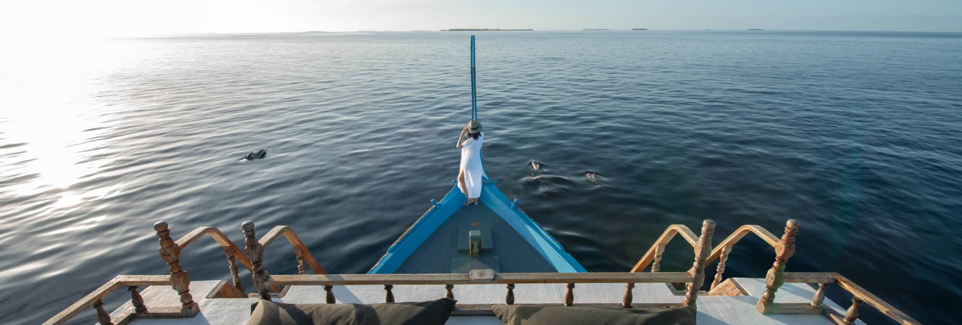 Alila Kothaifaru Maldives - Dolphin Cruise