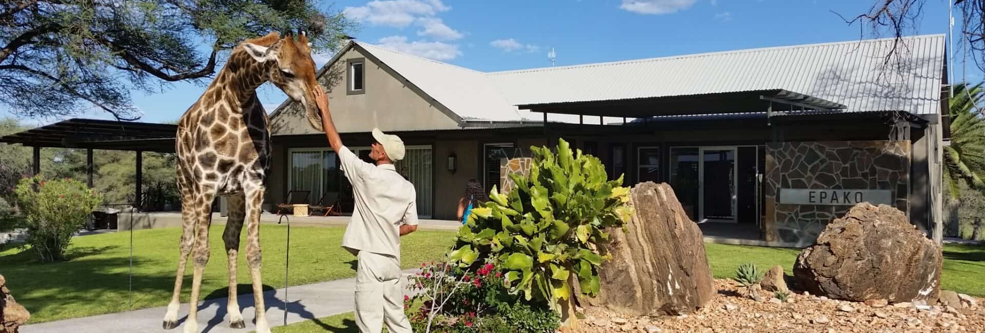 Epako Safari Lodge - Oscar The Giraffe Lodge Entrance