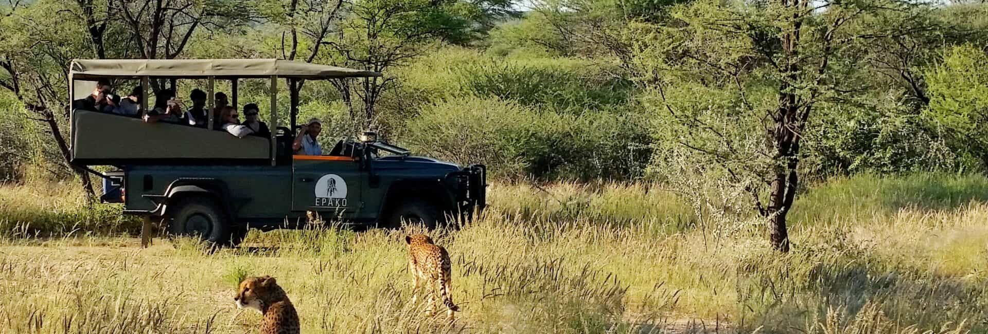 Epako Safari Lodge - Safari - Game Drive