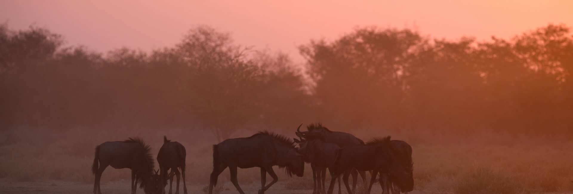 Etosha Heights - Sunset landscapes