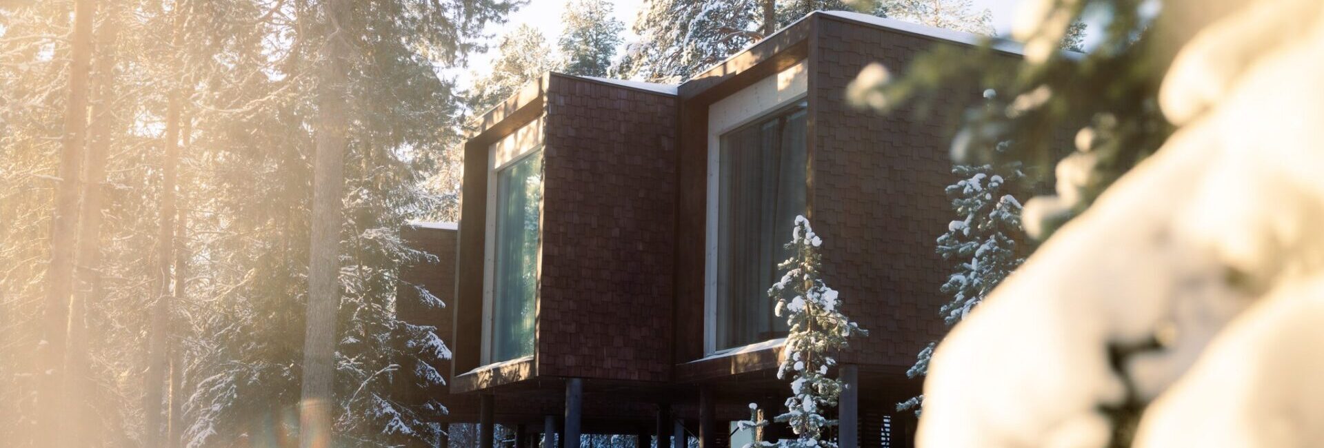 Arctic TreeHouse Hotel Suite