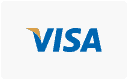 icon payment visa